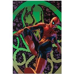 Marvel Comics "Amazing Spider-Man #524" Numbered Limited Edition Giclee on Canvas by Mike Deodato Jr