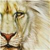 Image 2 : "White Lion" Limited Edition Giclee on Canvas by Martin Katon, Numbered and Hand Signed with Certifi