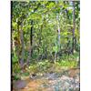 Image 1 : AN OIL ON CANVAS OF AN ABSTRACT FOREST SCENE "Lil