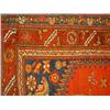 Image 1 : A TRIBAL RUNNER The scarlet field with an elongat