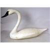 Image 1 : A PAINTED SWAN DECOY