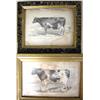 Image 1 : TWO PRINTS OF COWS losses  Apx. 5"h x 6"w