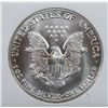 Image 2 : 1987 AMERICAN SILVER EAGLE