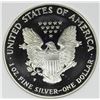 Image 2 : 2000-P AMERICAN SILVER EAGLE