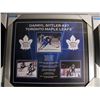 Image 1 : FRAMED DARRYL SITLER CAREER RECORD COLLAGE PRINT