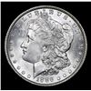 Image 2 : 1886-p . . Morgan Dollar $1 Grades Choice+ Unc
