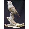 Image 1 : 7 3/4 Boehm figurine Tree Sparrow #468 (no visibl