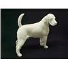 Image 1 : 6 Boehm figurine Standing Labrador Retriever (no 