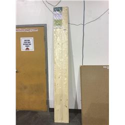 Hobbyboard11/16" x 12" x 96"