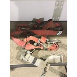 Protecta fall arrest harness