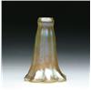 Image 1 : TIFFANY LILY SHADE