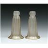 Image 1 : PAIR OF STEUBEN LILY SHADES