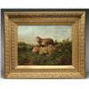 Image 1 : SHEEP IN MEADOW OOC