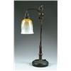 Image 1 : TIFFANY STUDENT LAMP