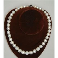 SOUTH SEA CULTURED PEARL NECKLACE