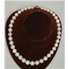 Image 1 : SOUTH SEA CULTURED PEARL NECKLACE