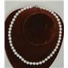 Image 1 : CULTURED PEARL NECKLACE