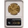 Image 2 : 2008-W $50 Burnished American Gold Eagle Coin NGC MS70