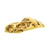 Image 1 : 8.86 Gram Gold Nugget