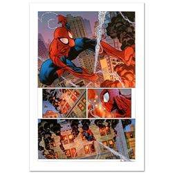 "The Amazing Spider-Man #596" Limited Edition Giclee on Canvas by Paulo Siqueira and Marvel Comics. 