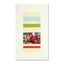 Liz Rider, "Aperture" Original Mixed Media Painting, Hand Signed with Letter of Authenticity. Info