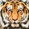 Image 2 : "Terrific Tiger" Limited Edition Giclee on Canvas by Martin Katon, Numbered and Hand Signed with Cer
