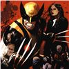 Image 2 : Marvel Comics "Fear Itself: Wolverine #1" Numbered Limited Edition Giclee on Canvas by Daniel Acuna;
