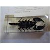 Image 2 : 2 CLOISONNE BANGLES AND LUCITE ENCASED SCORPION