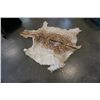 Image 1 : DEER PELT