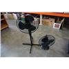 Image 1 : BLACK FLOOR FAN AND TABLE FAN