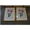 Image 2 : 4 FRAMED FLOWER PRINTS