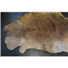 Image 2 : KANGAROO PELT