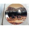 Image 8 : LOT OF 10 COLLECTOR PLATES - ONE FRAMED