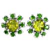 Image 1 : NATURAL GREEN PERIDOT & CHROME DIOPSIDE Earrings