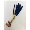 Image 1 : Plains Dance Fan