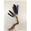 Image 2 : Plains Dance Fan