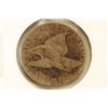 Image 1 : 1858 FLYING EAGLE CENT