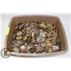 Image 1 : TUB OF ASSORTED ENGRAVED POLISHED STONES.