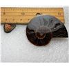 Image 1 : 20) NATURAL GREEN/ORANGE AMMOLITE