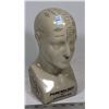 Image 1 : ANTIQUE PHRENOLOGY DISPLAY BY L.N. FOWLER OF