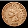 Image 2 : 1882 . . Indian Cent 1c Grades vf++