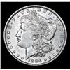 Image 2 : ***Auction Highlight*** 1886-o Key Date Nice Luster Morgan Dollar $1 Graded Select Unc By USCG (fc)