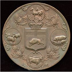 Manitoba Medal