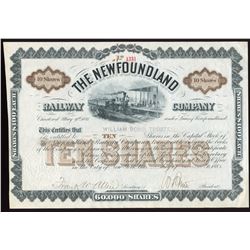 Share Certificate