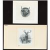 Image 2 : Merchants Bank of Canada - Total of nine vignettes.