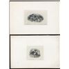 Image 2 : St. Stephens Bank - Seven die proof vignettes.