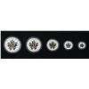 Image 1 : 2013 Silver Maple Leaf Fractional Set