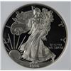 Image 1 : 1996-P AMERICAN SILVER EAGLE