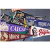 Image 4 : Bundle of Pennants