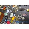 Image 6 : Assorted Keys, Keychains, Locks & Leather Case